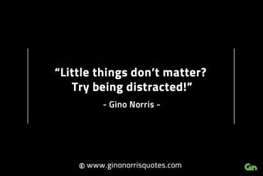 Little things dont matter GinoNorrisINTJQuotes