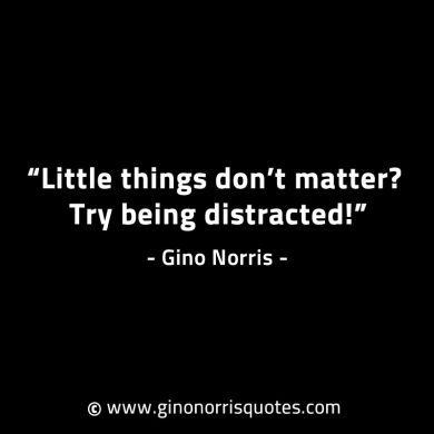 Little things dont matter GinoNorrisINTJQuotes