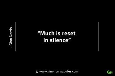 Much is reset in silence GinoNorrisINTJQuotes