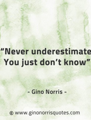 Never underestimate You just dont know GinoNorrisQuotes