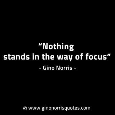 Nothing stands in the way of focus GinoNorrisINTJQuotes