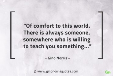 Of comfort to this world GinoNorrisQuotes