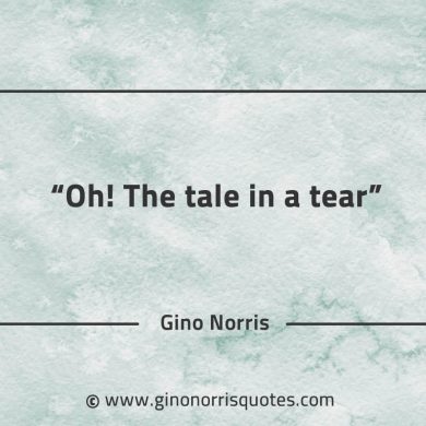 Oh The tale in a tear GinoNorrisQuotes