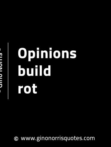 Opinions build rot GinoNorrisINTJQuotes