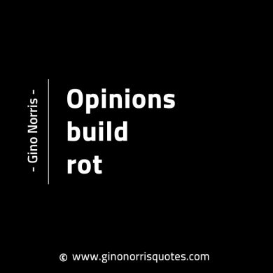 Opinions build rot GinoNorrisINTJQuotes