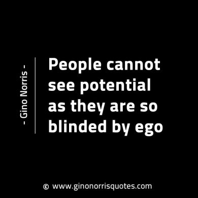 People cannot see potential GinoNorrisINTJQuotes