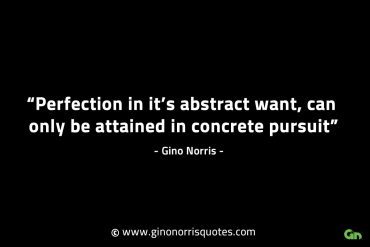 Perfection in its abstract want GinoNorrisINTJQuotes