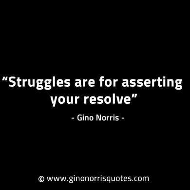 Struggles are for asserting your resolve GinoNorrisINTJQuotes