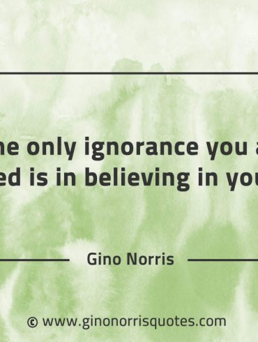 The only ignorance you are allowed GinoNorrisQuotes