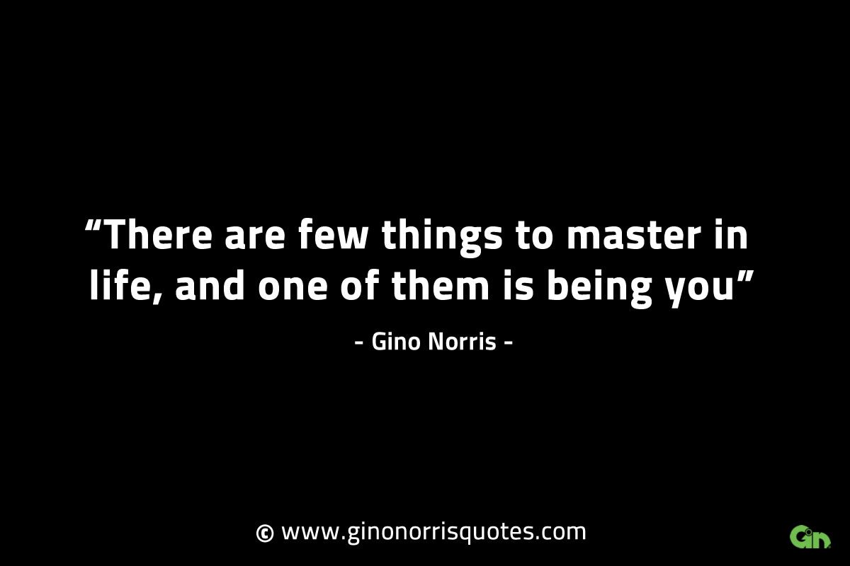 There are few things to master in life GinoNorrisINTJQuotes