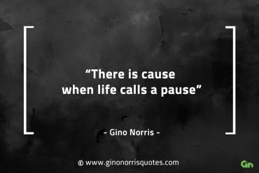 There is cause when life calls a pause GinoNorrisQuotes