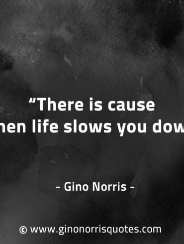 There is cause when life slows you down GinoNorrisQuotes