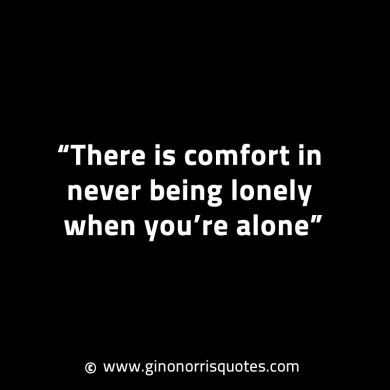 There is comfort in never being lonely GinoNorrisINTJQuotes