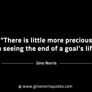 There is little more precious in seeing GinoNorrisINTJQuotes