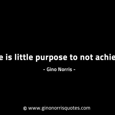 There is little purpose to not achieving GinoNorrisINTJQuotes