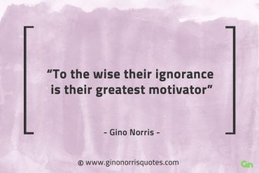 To the wise their ignorance GinoNorrisQuotes