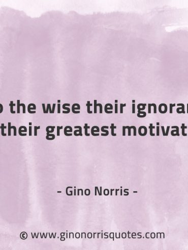 To the wise their ignorance GinoNorrisQuotes