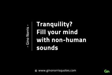 Tranquility GinoNorrisINTJQuotes