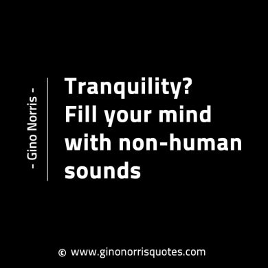 Tranquility GinoNorrisINTJQuotes