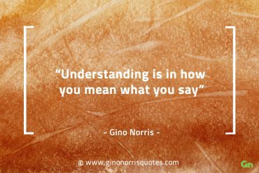 Understanding is in how you mean what you say GinoNorrisQuotes