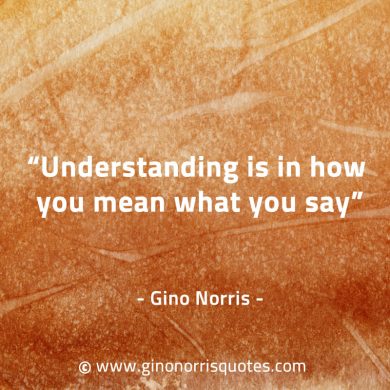 Understanding is in how you mean what you say GinoNorrisQuotes