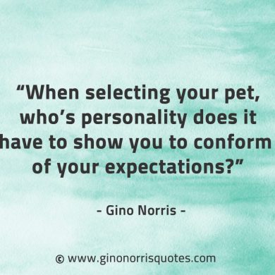 When selecting your pet GinoNorrisQuotes