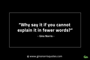 Why say it if you cannot explain it GinoNorrisINTJQuotes