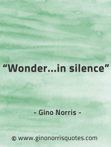 Wonder in silence GinoNorrisQuotes