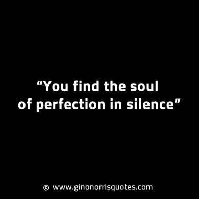 You find the soul of perfection in silence GinoNorrisINTJQuotes