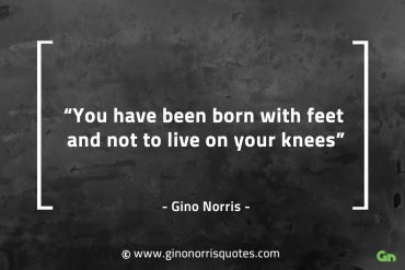 You have been born with feet GinoNorrisQuotes