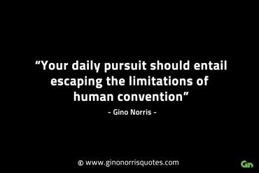 Your daily pursuit should entail GinoNorrisINTJQuotes