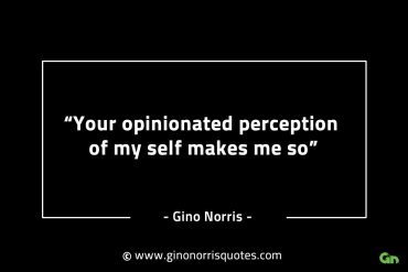 Your opinionated perception of my self GinoNorrisINTJQuotes