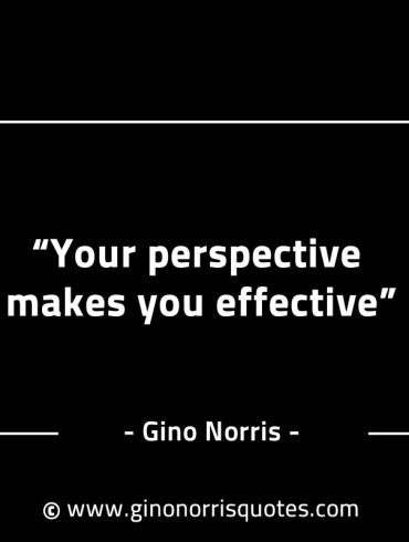 Your perspective makes you effective GinoNorrisINTJQuotes