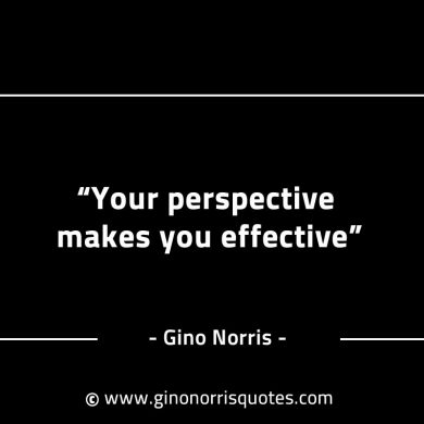 Your perspective makes you effective GinoNorrisINTJQuotes