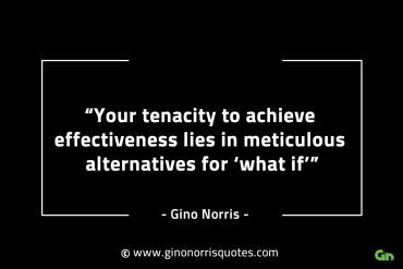 Your tenacity to achieve effectiveness GinoNorrisINTJQuotes