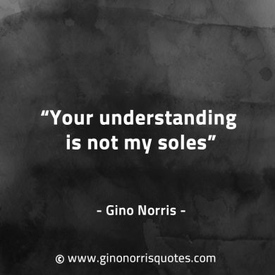 Your understanding is not my soles GinoNorrisQuotes