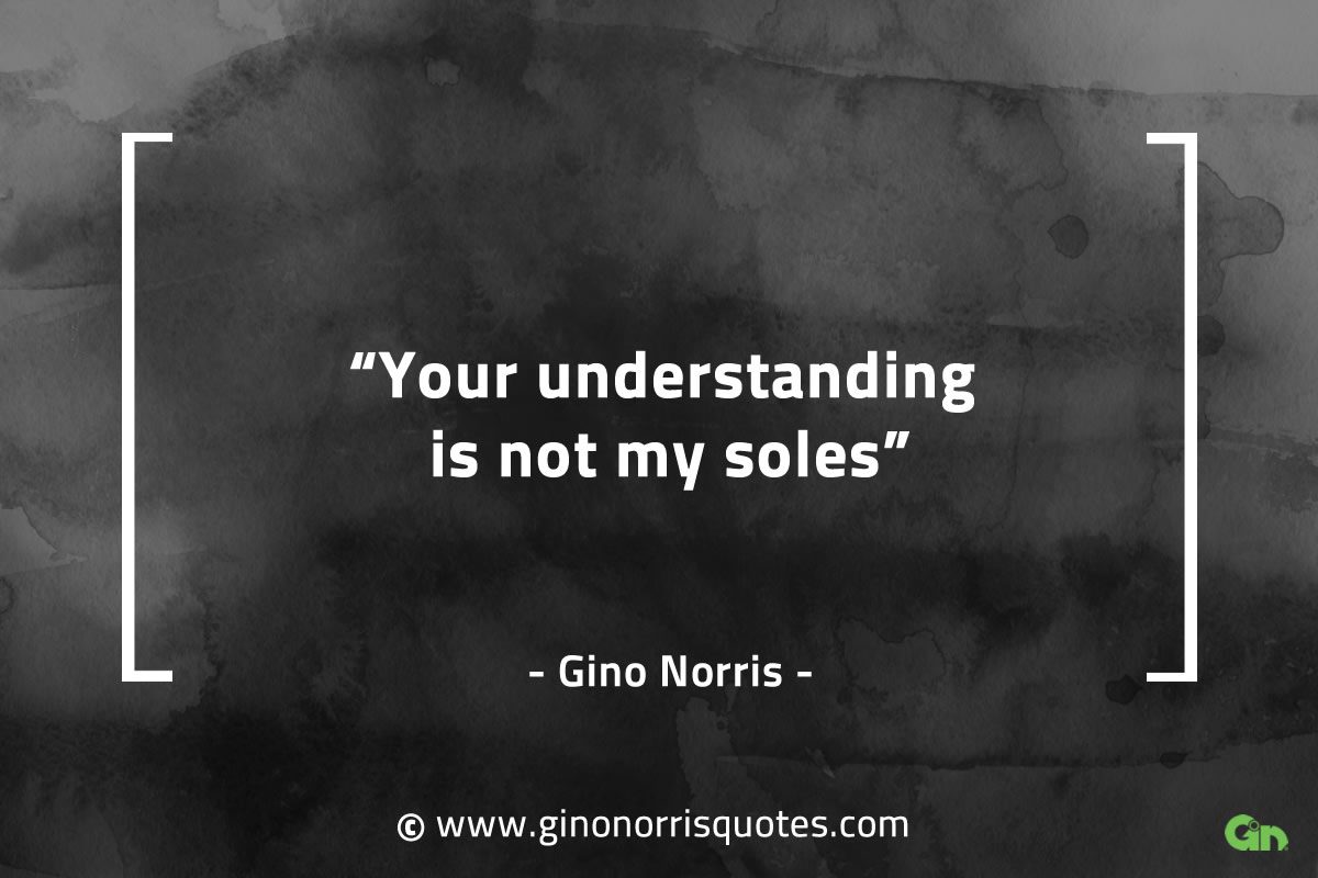 Your understanding is not my soles GinoNorrisQuotes