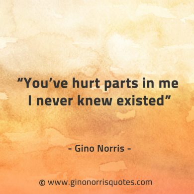 Youve hurt parts in me I never knew existed GinoNorrisQuotes