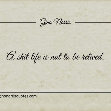 A shit life is not to be relived ginonorrisquotes