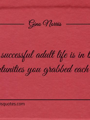 A successful adult life is in the opportunities ginonorrisquotes