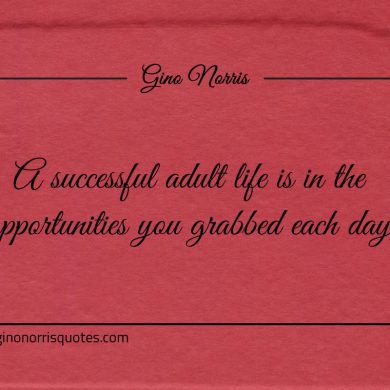 A successful adult life is in the opportunities ginonorrisquotes