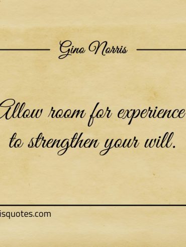 Allow room for experience to strengthen your will ginonorrisquotes