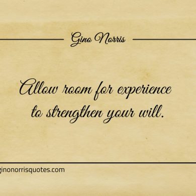 Allow room for experience to strengthen your will ginonorrisquotes