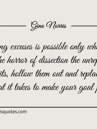 Allowing excuses is possible only ginonorrisquotes