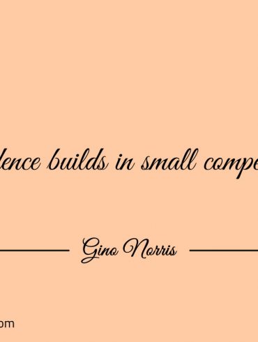 Confidence builds in small competencies ginonorrisquotes