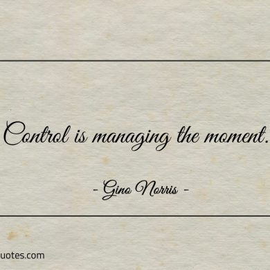 Control is managing the moment ginonorrisquotes