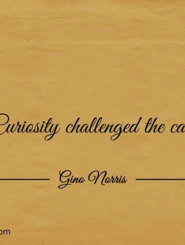 Curiosity challenged the cat ginonorrisquotes