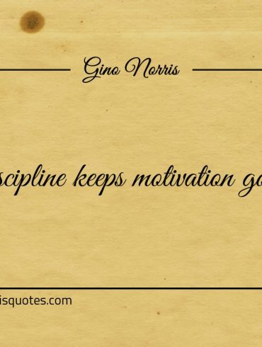 Discipline keeps motivation going ginonorrisquotes