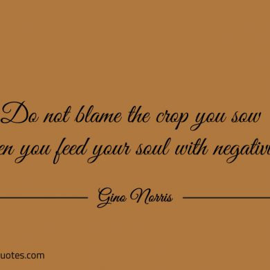 Do not blame the crop you sow ginonorrisquotes