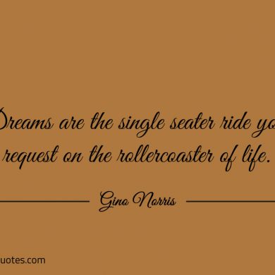 Dreams are the single seater ride ginonorrisquotes